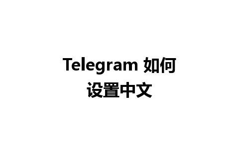 Telegram 如何设置中文